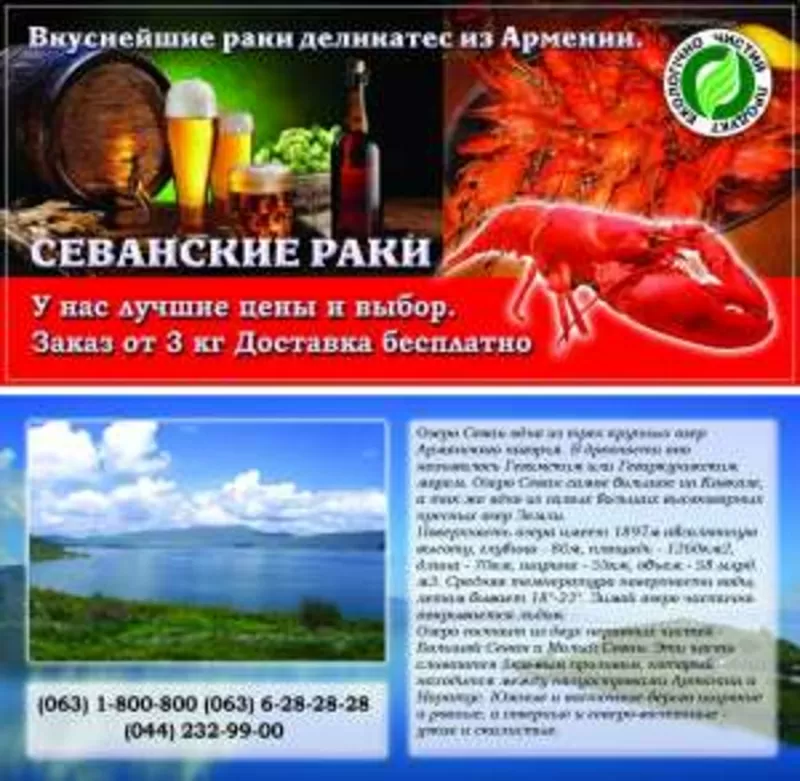 Раки дешево,  Купить раков в Киеве,  Доставка Раков,  Севанские раки