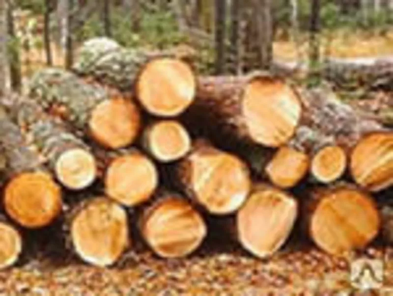 Продам пиломатериалы