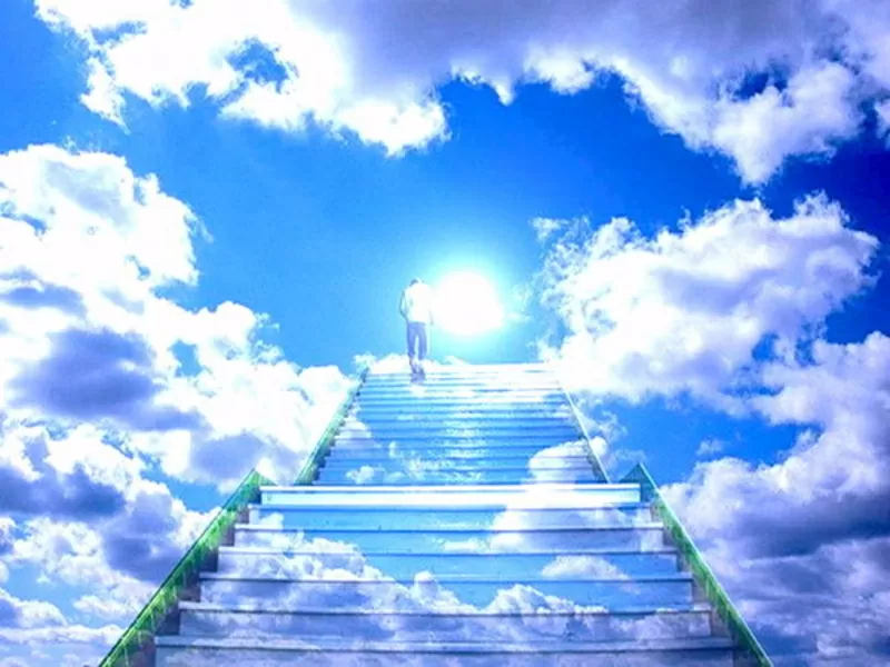 Помощь Рун в поиске ответов на вопросы. Просмотр ситуаций.