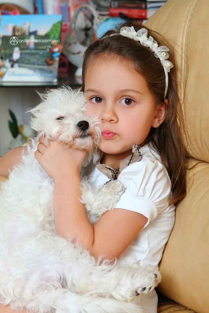 Фотограф Андрей Антоненко! 7