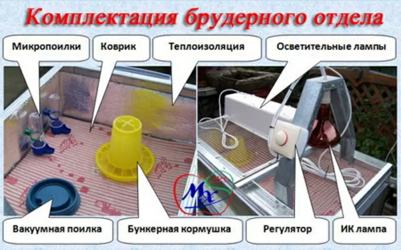 Комбинированная клетка для содержания перепелов. 2