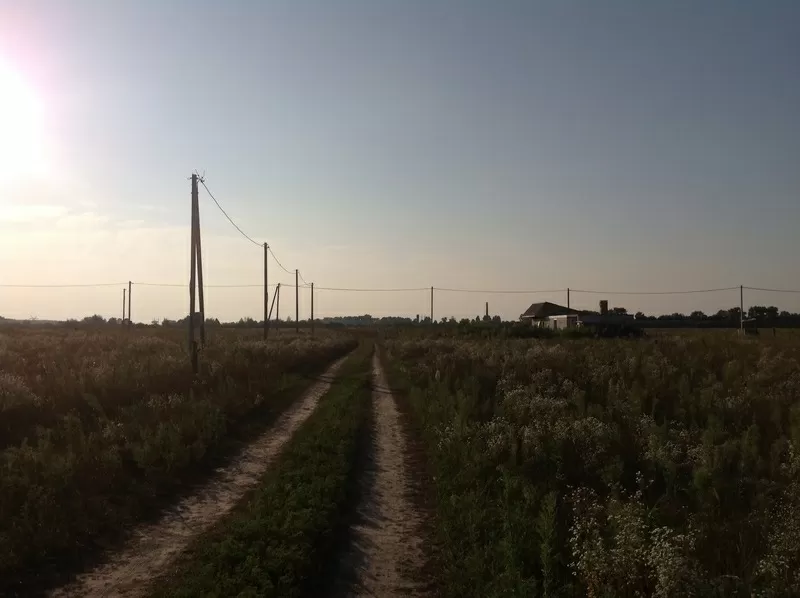 Продаю земельный участок в с. Рожовка Броварского района  под застройк