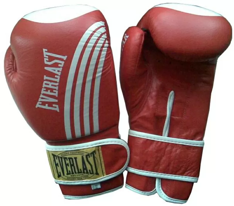 Боксёрские перчатки Everlast,  World Sport (кожа) 2