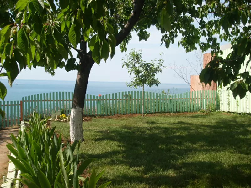 Дача на берегу моря. 1-я линия. Меняю или продам. 2