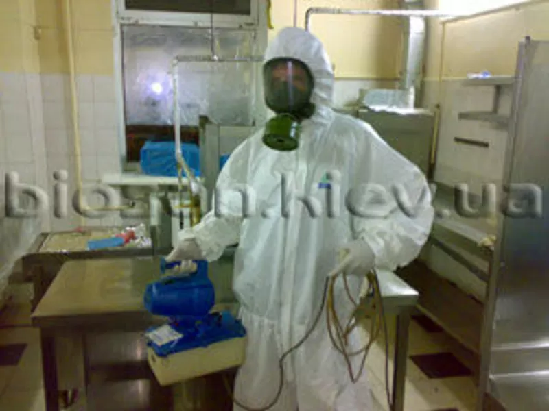 Уничтожение грызунов, насекомых.