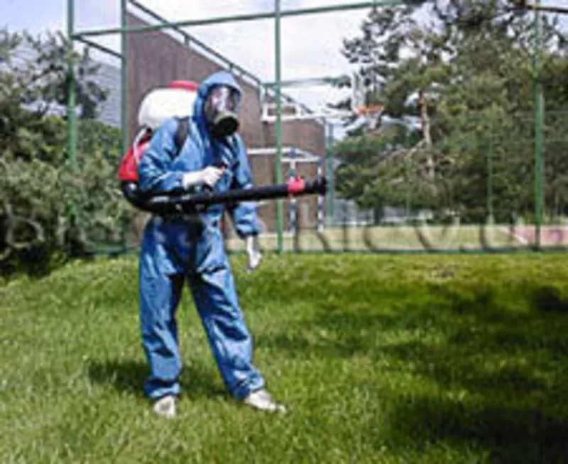 Уничтожение грызунов, насекомых. 3