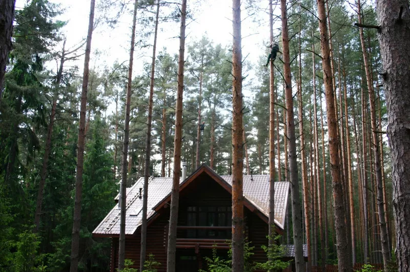 Комплексный уход за садом и лесом