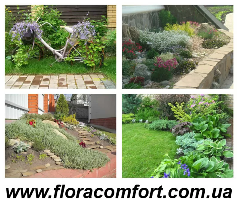 Устройство посевного газона Киев, рулонный и посевной газон