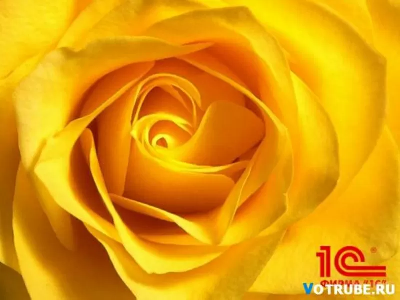 Продажа и внедрение 1С Бухгалтерия 8 под ключ с гарантией +БОНУСЫ