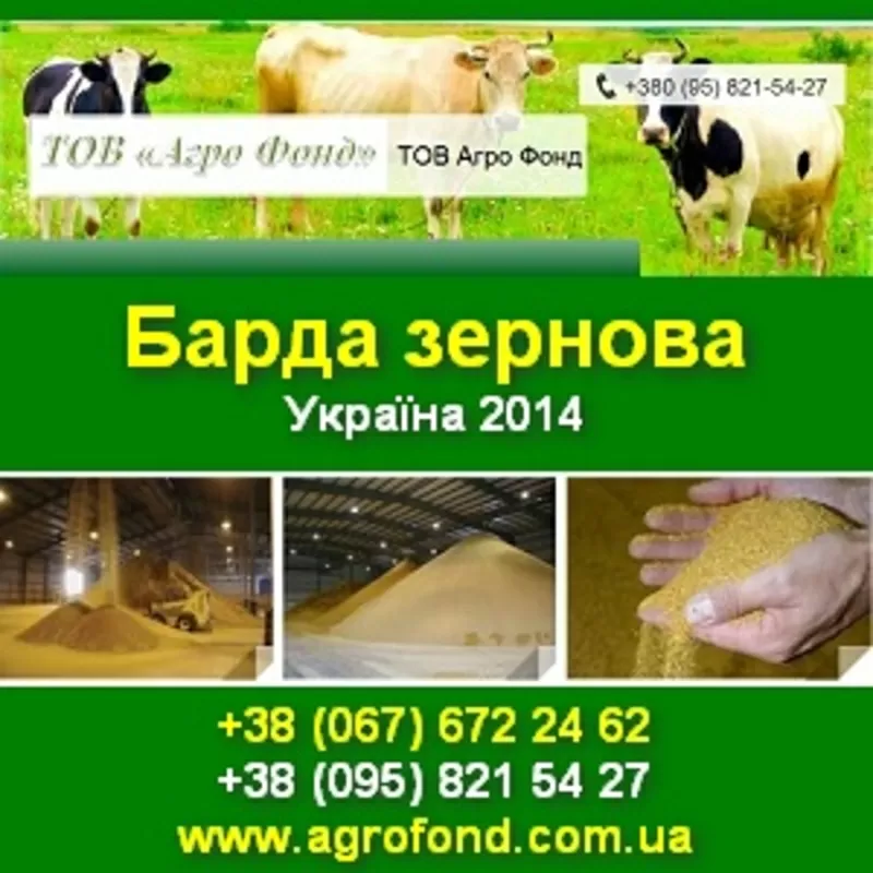 Купить барду Зернову, суху. Протеїн 32-36 % Україна.