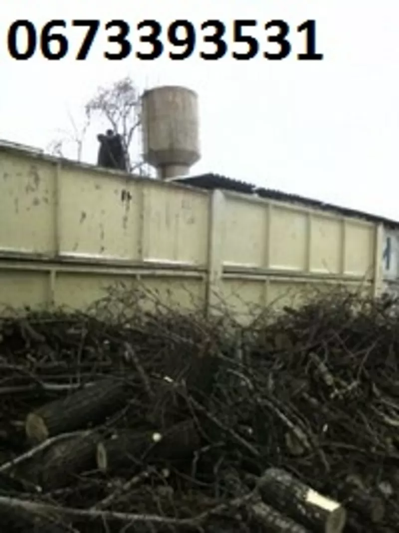 Чистка земляных участков