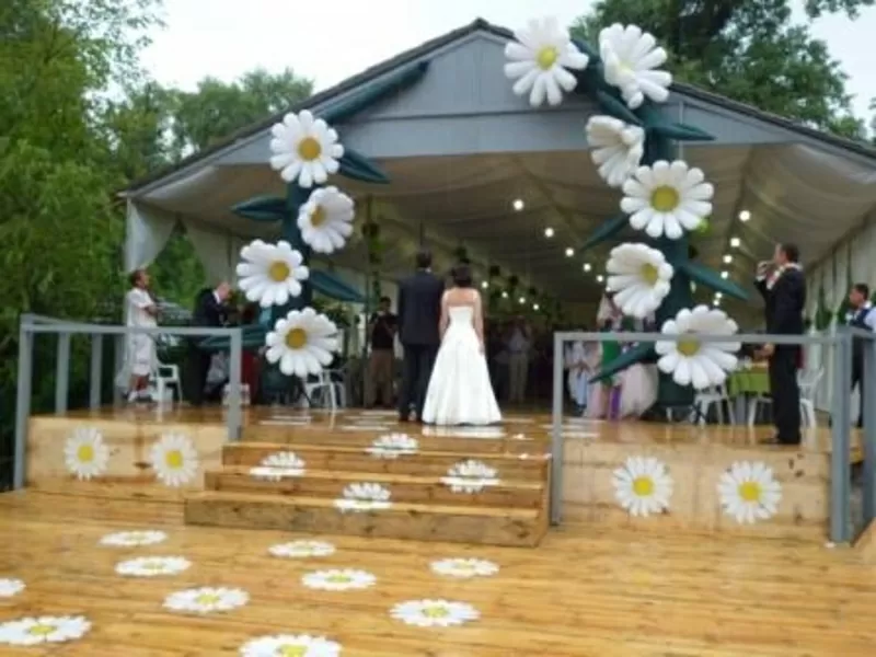 Проведение бюджетных свадеб и торжеств в РК «Дельфины» 8