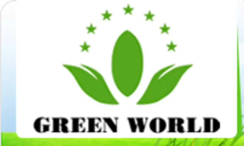 Бытовой озонатор-ионизатор воздуха и воды Green World - мощный 2