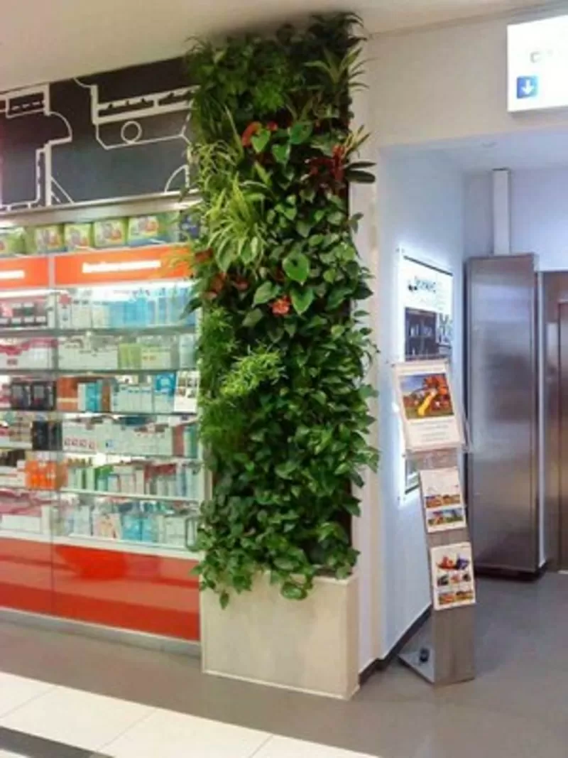 Почему вертикальное озеленение это лучшее решение для вашего помещения 2