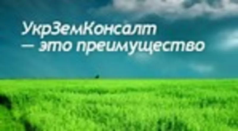 Юридическая компания «Укрземконсалт»: раздел земельного участка.