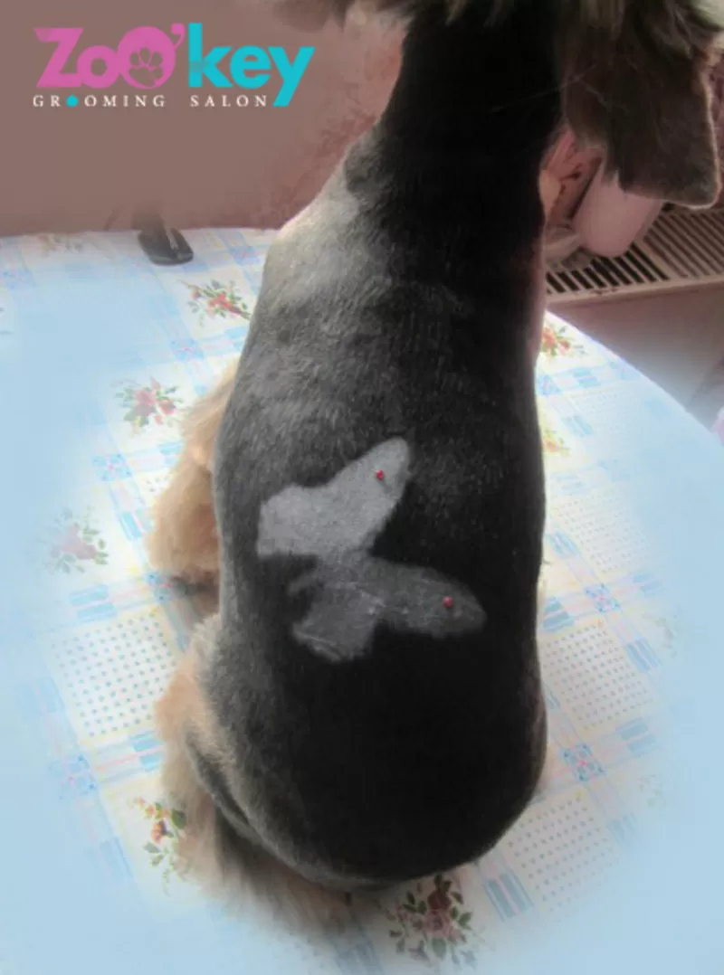 выстригание рисунков *тату*,  знаков,  букв,  *любая тематика*,  покраска  4