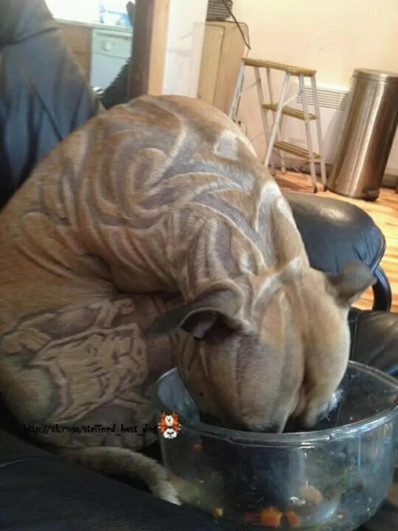 выстригание рисунков *тату*,  знаков,  букв,  *любая тематика*,  покраска  7