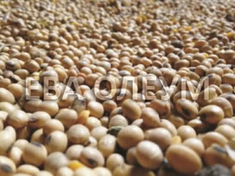 Уcлуги сушки зерна: кукурузы, сои, подсолнуха, рапса 2