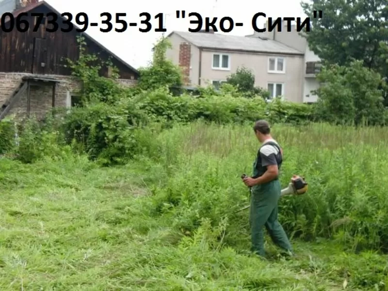 удаление, спил, валка, вырубка, обрезка, кронирование, чистка кустарни