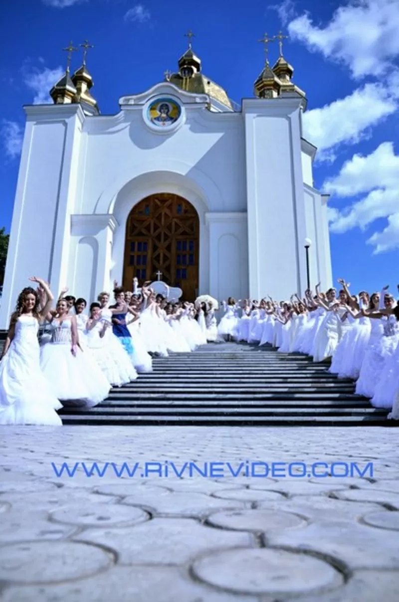 Свадебный фотограф Киев цена от 150$ фотограф на свадьбу в Киеве 6