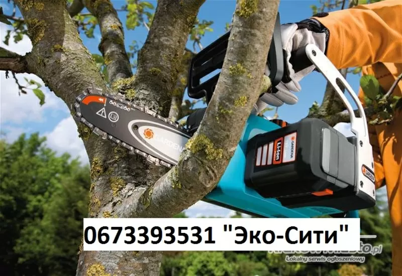 валка деревьев, резка деревьев, удаление аварийных деревьев 2