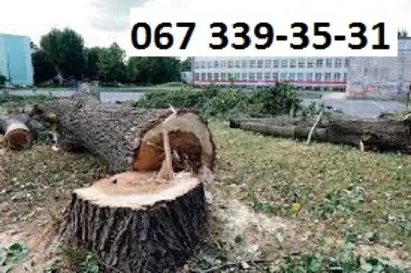 валка деревьев, резка деревьев, удаление аварийных деревьев