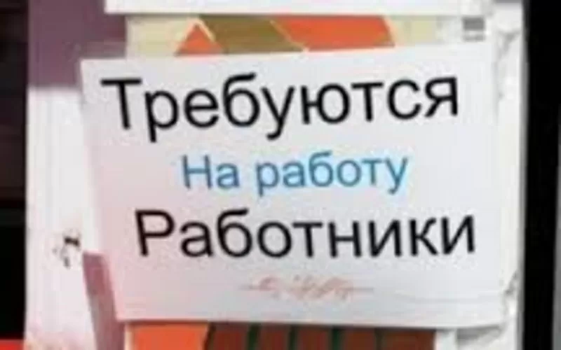 Официальное трудоустройство в Польше,  квалифицированные,  другие ваканс