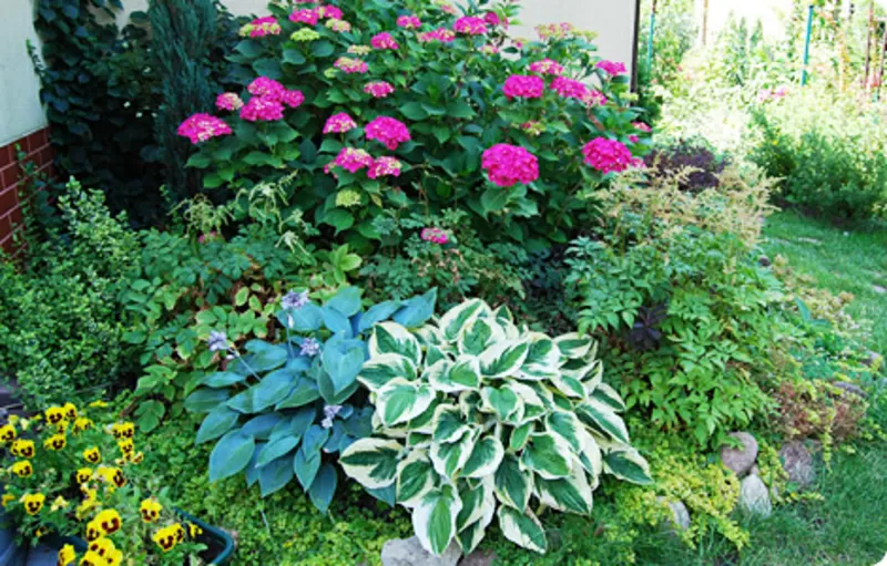 Ландшафтний дизайн. 3