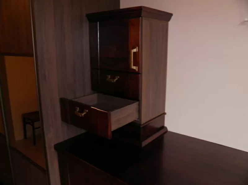 Изготовление мебели на заказ с ДСП, МДФ 12