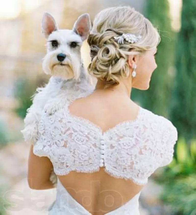 Свадебные прически выезд на дом