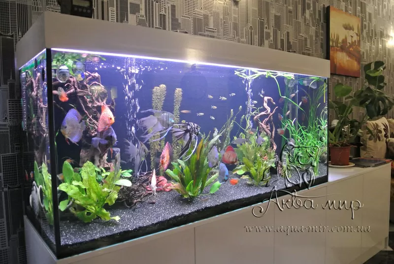 Изготовление аквариумов и террариумов из стекла по Вашим размерам 2