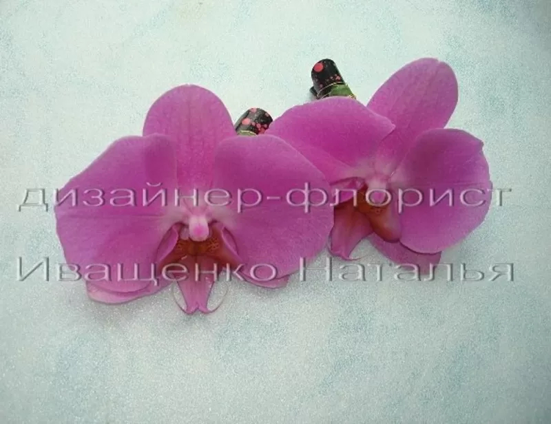 Заколка под заказ 4