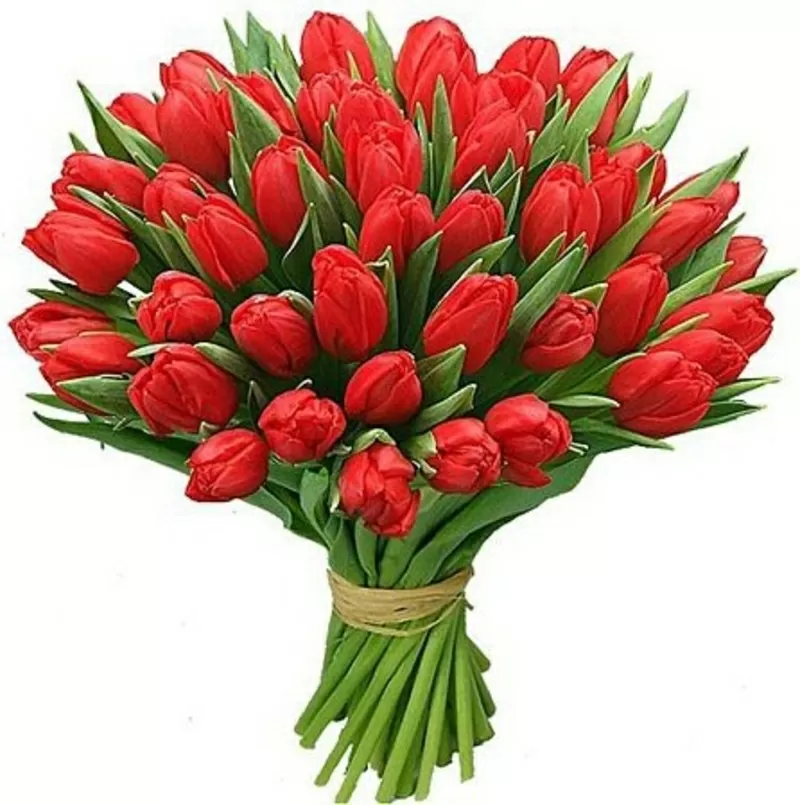 Букет из тюльпанов