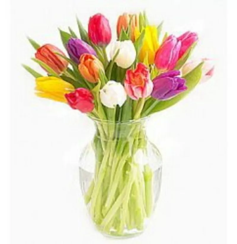 Букет из тюльпанов 3