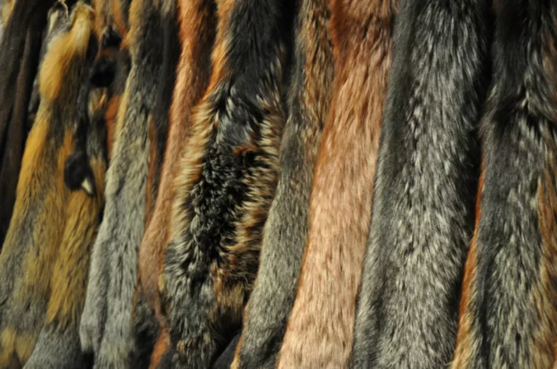 Международная выставка меха FUR EXPO UKRAINE'2015