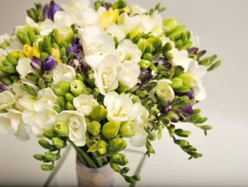 Букет свадебный из фрезий