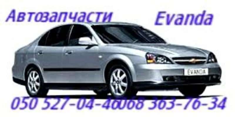 Амортизатор Шевроле Эпика Эванда,  Chevrolet Epica Evanda     3