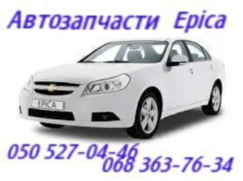 Амортизатор Шевроле Эпика Эванда,  Chevrolet Epica Evanda     4