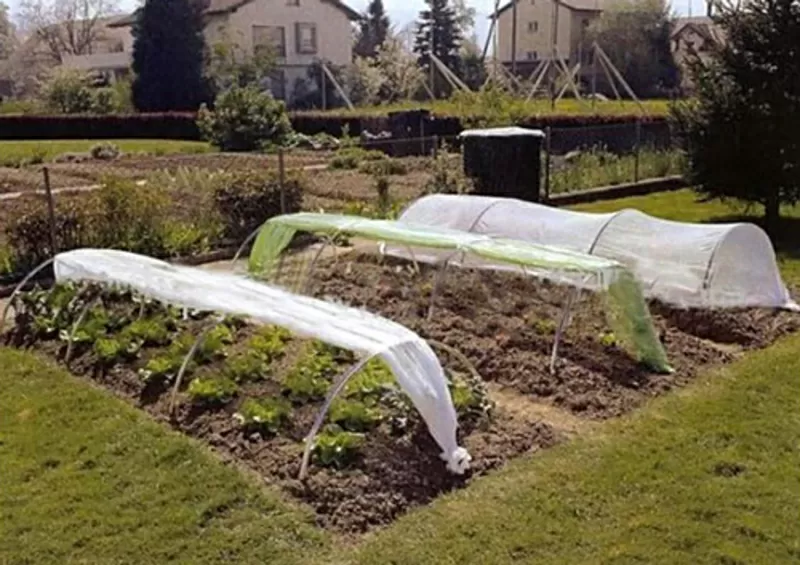 парники из агроволокна 2