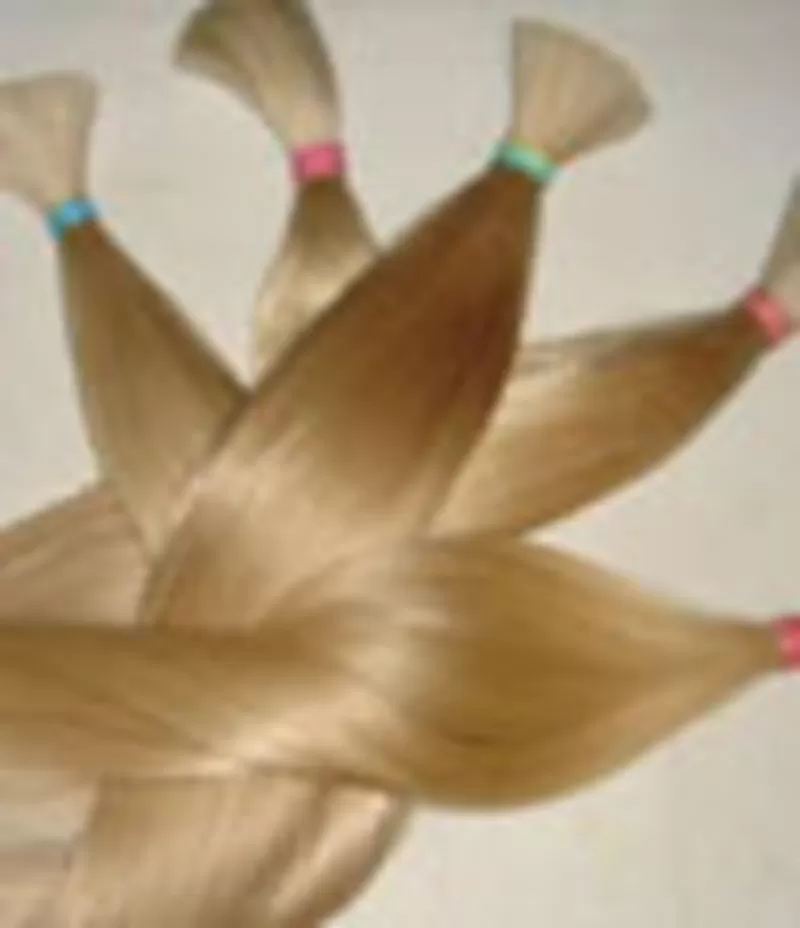 Куплю ваши волосы. Хорошо заплатим за волосы.