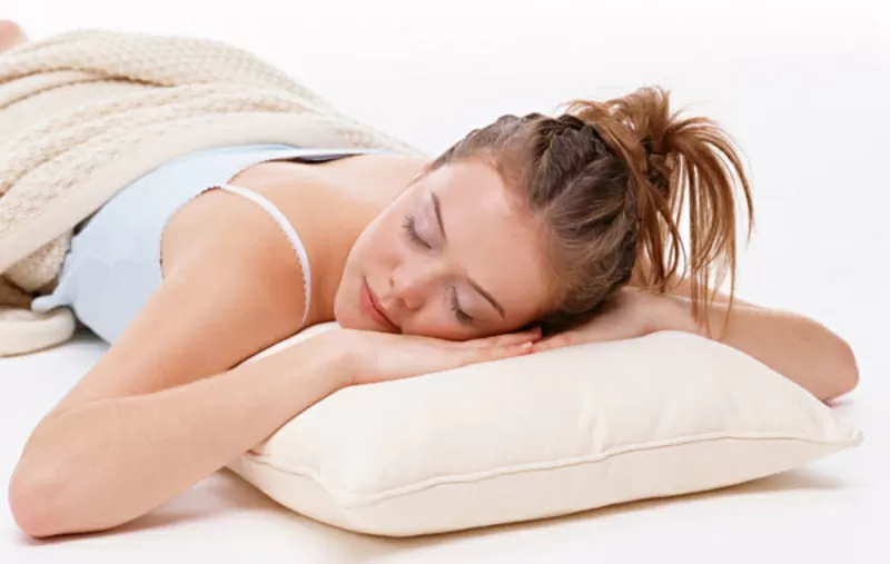 Уничтожение блох в квартире