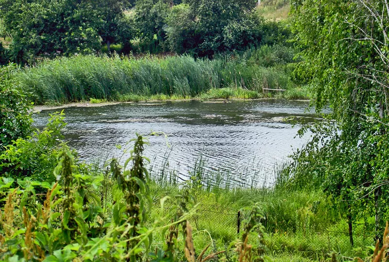 Участок на берегу Киевского моря (по линии воды) 5