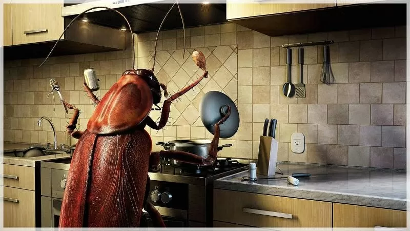 Дезинсекция помещений газом. Уничтожение насекомых