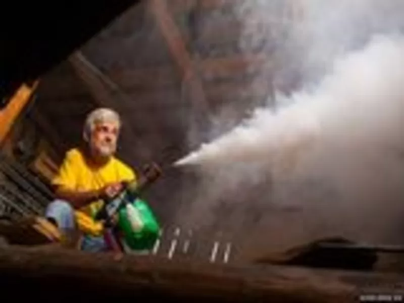 Дезинсекция помещений газом. Уничтожение насекомых 4