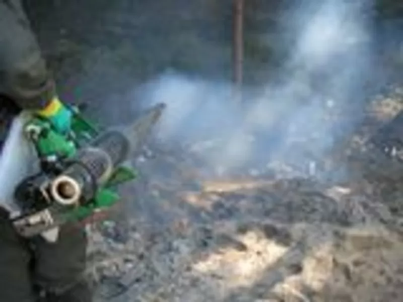 Дезинсекция помещений газом. Уничтожение насекомых 3