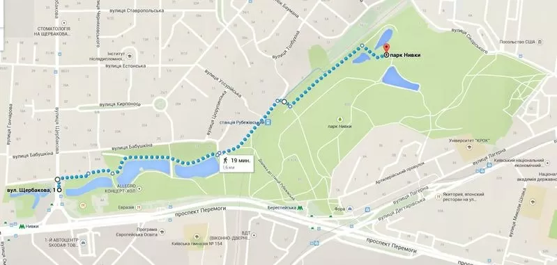 Дрессировка собак на Нивках