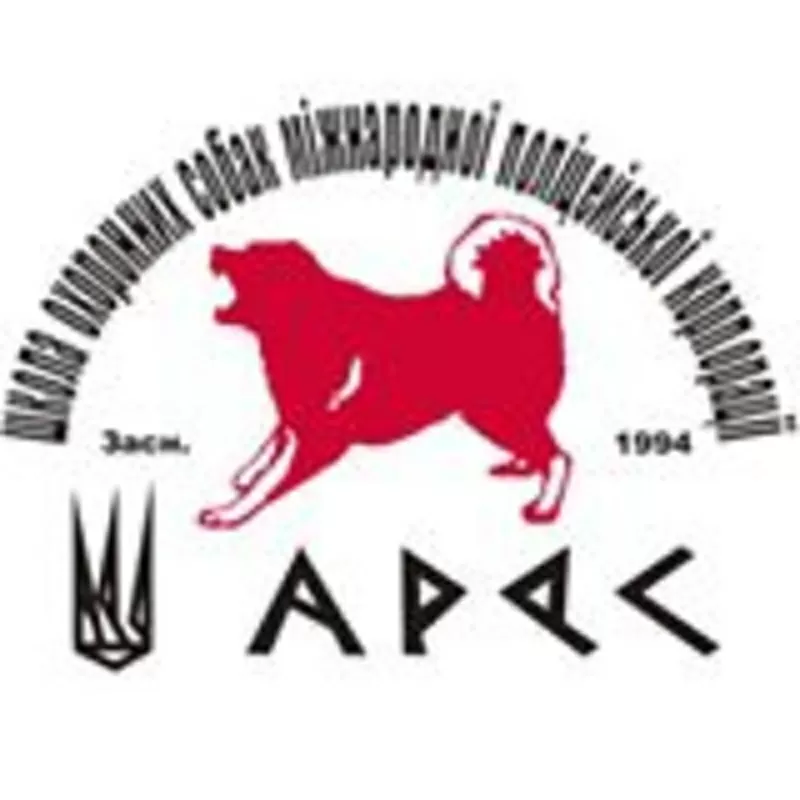 Дрессировка собак на Нивках 2