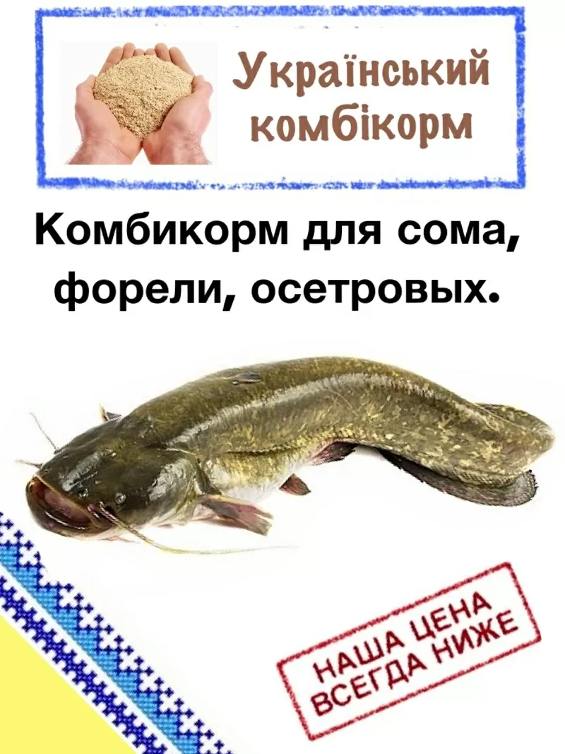 Комбикорм для выращивания сома, форели и осетровых.
