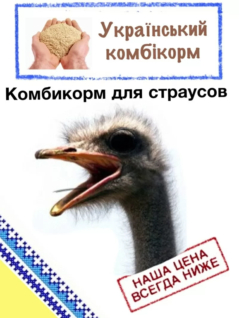 Комбикорм для страусов.