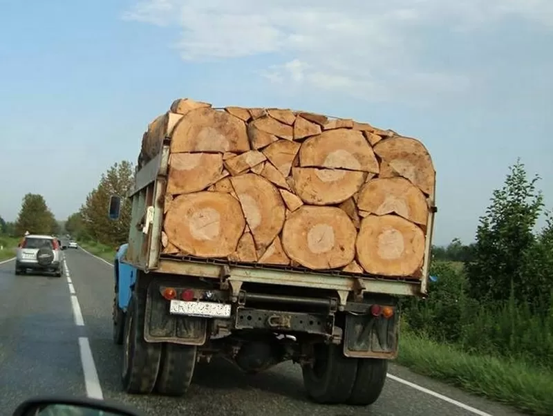 Дрова дуб,  акація,  береза,  сосна,  тополя з доставкою